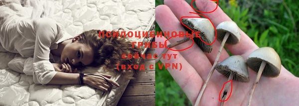 каннабис Аркадак
