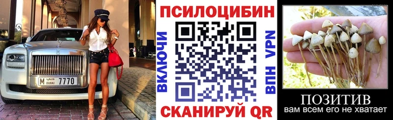 Купить где  Сухиничи  Галлюциногенные грибы ЛСД 